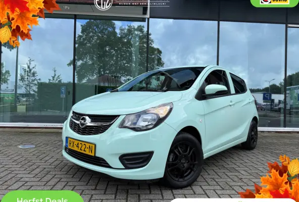 1.0 ecoFLEX Edition - Automaat - Media - Airco - Org.NL