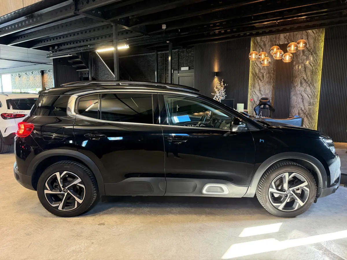 1.6 Plug-in Hybrid 225 Business Plus