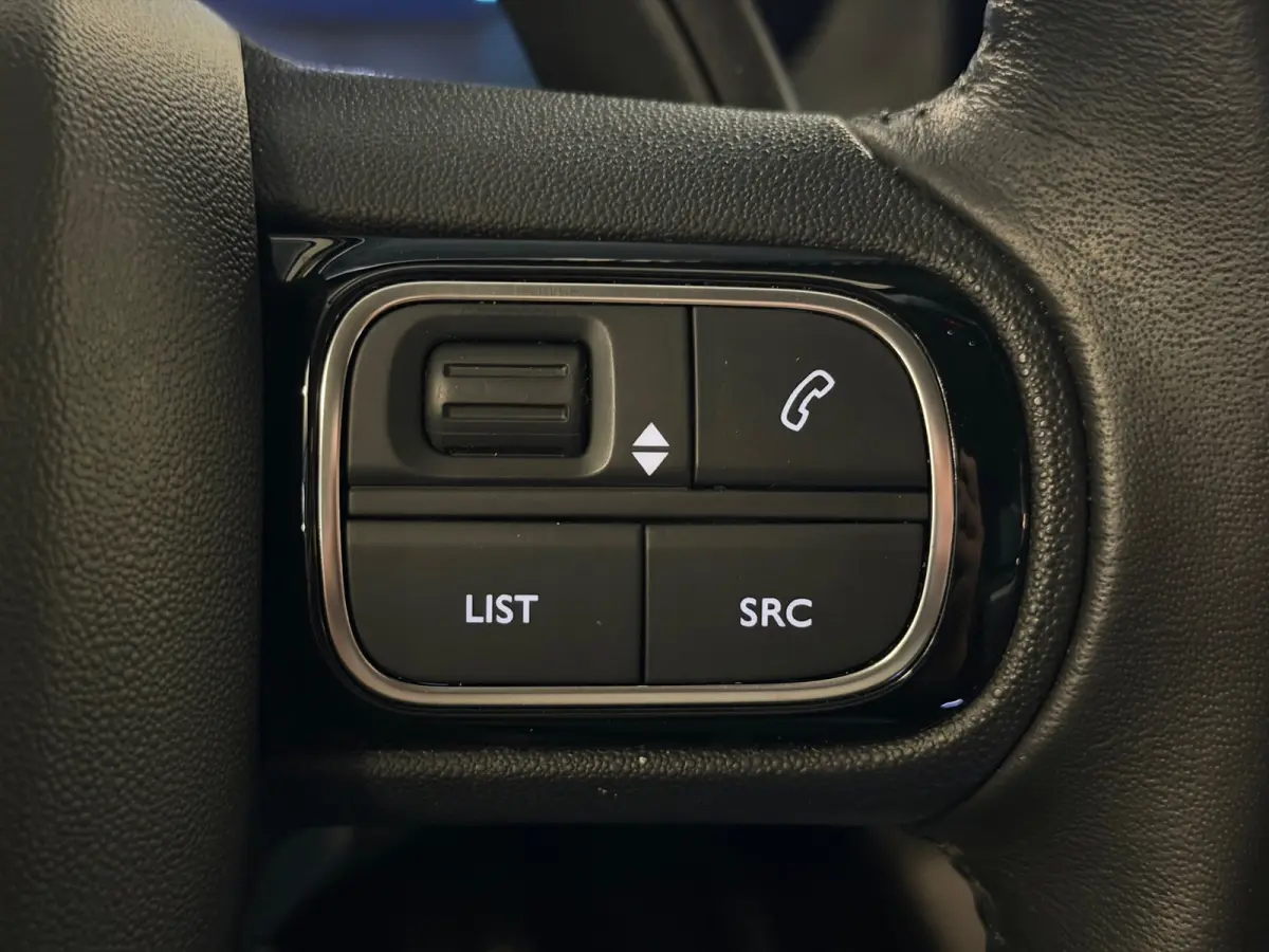 1.6 Plug-in Hybrid 225 Business Plus