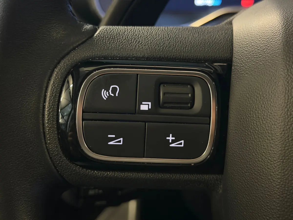 1.6 Plug-in Hybrid 225 Business Plus