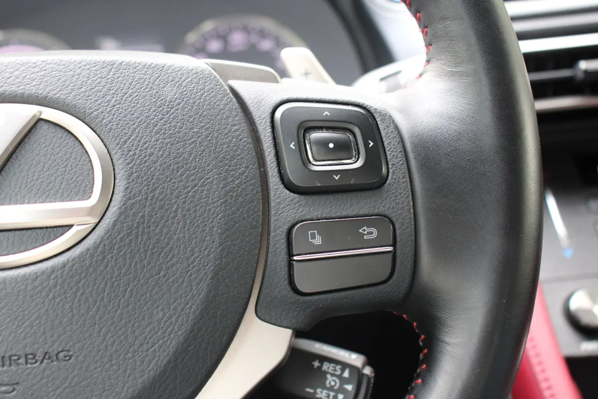 300h | UNIEK! | CRUISE CONTROL |CAMERA | DODE HOEK DETECTIE | STOELVERWARMING | FULL LED