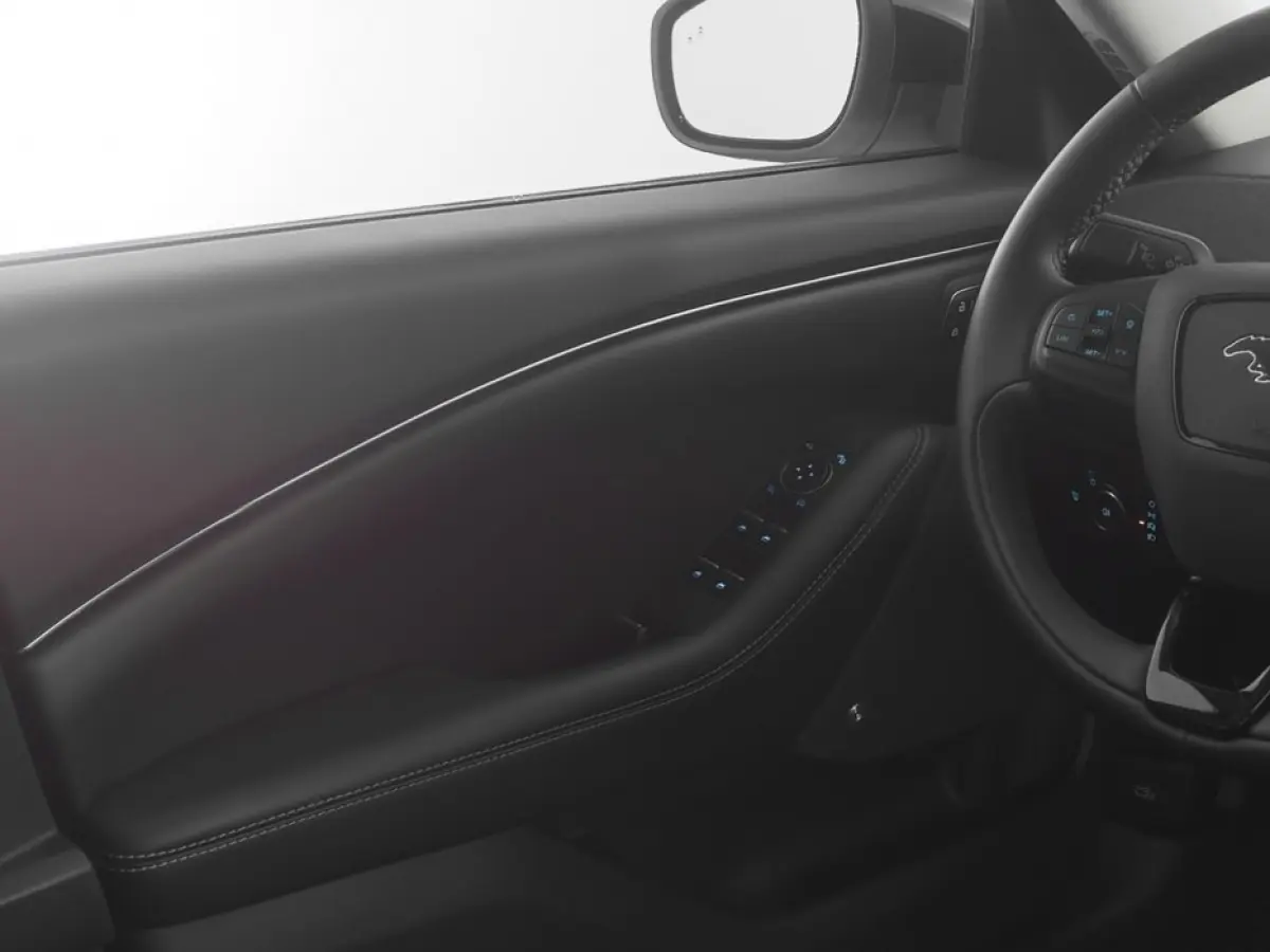 75 kWh | PANORAMADAK | B&O | LEDER | FULL LED | SOH 95.5%