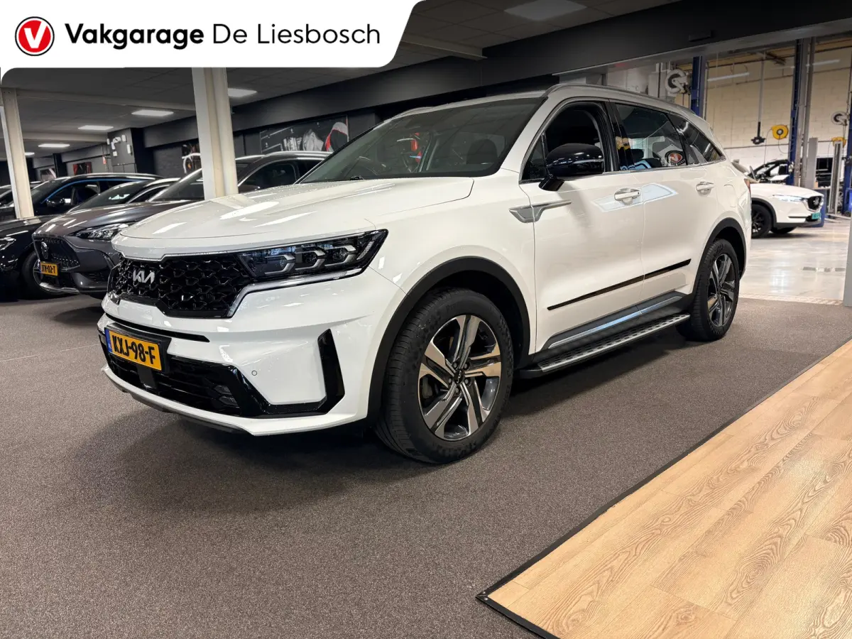 1.6 T-GDI Plug-in Hybrid 4WD DynamicLine 7persoons / stoelverwarming / camera / trekhaak