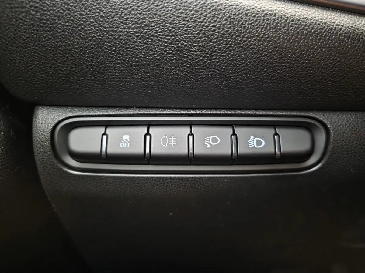 Icon 42 kWh Carplay | 16" Lichtmetaal | Cruise Control | Getint Glas | Bluetooth | Lane-Assist | Digitaal Dashboard | LED  | Airco (automatisch) | Anti Blokkeer Systeem | Bluetooth telefoonv