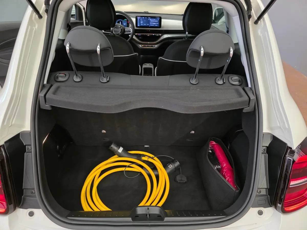 Icon 42 kWh Carplay | 16" Lichtmetaal | Cruise Control | Getint Glas | Bluetooth | Lane-Assist | Digitaal Dashboard | LED  | Airco (automatisch) | Anti Blokkeer Systeem | Bluetooth telefoonv