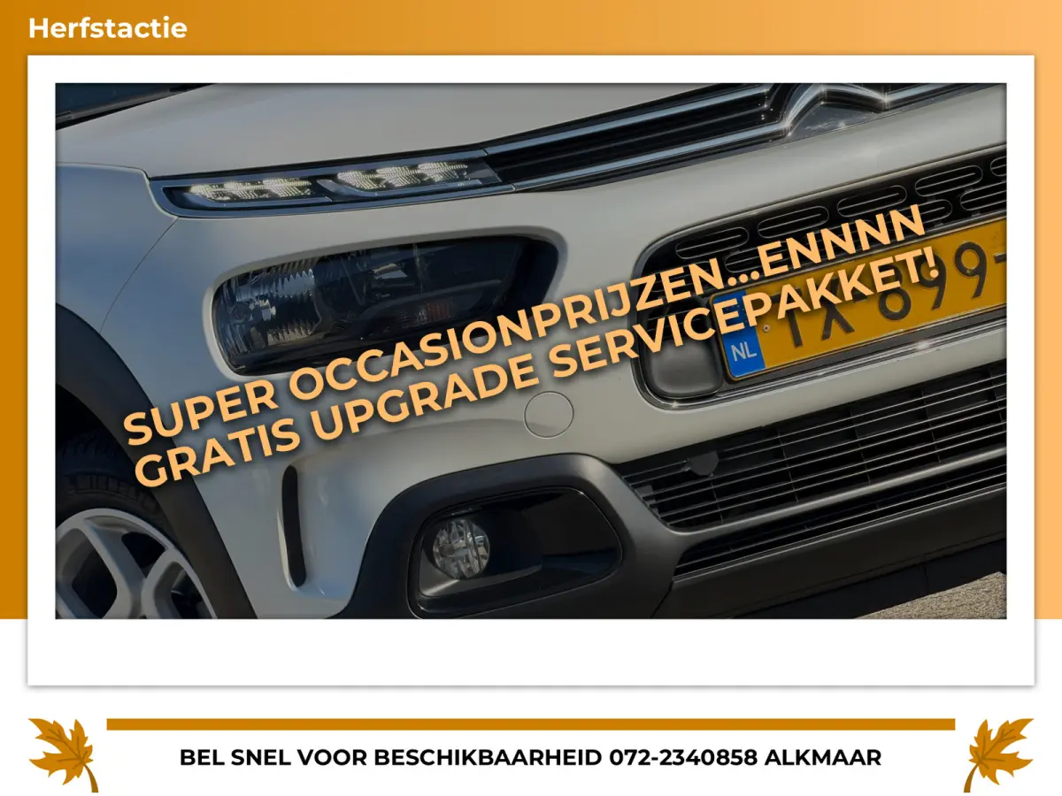 1.2 PureTech 110pk Business - Blanc Nacré - Carplay/Cruise/Camera