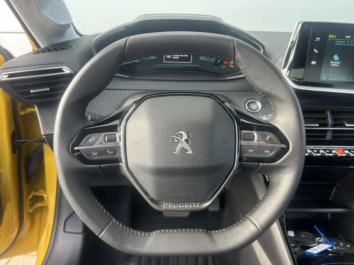 EV Active Pack 50 kWh | Lage KM stand | Cruise Control | Parkeerhulp | Apple CarPlay/Android Auto