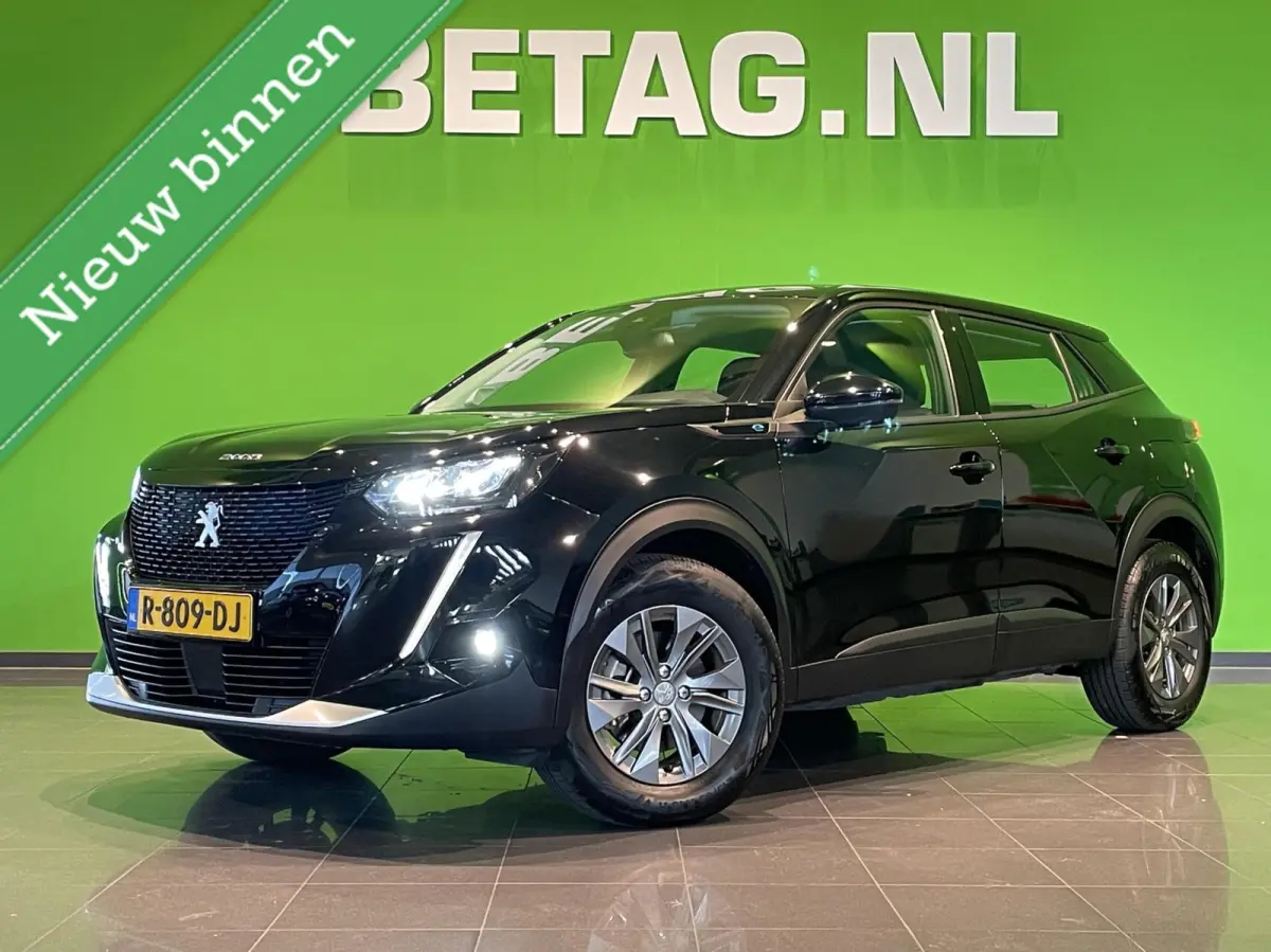 EV Active Pack 50 kWh | LED | Climate |