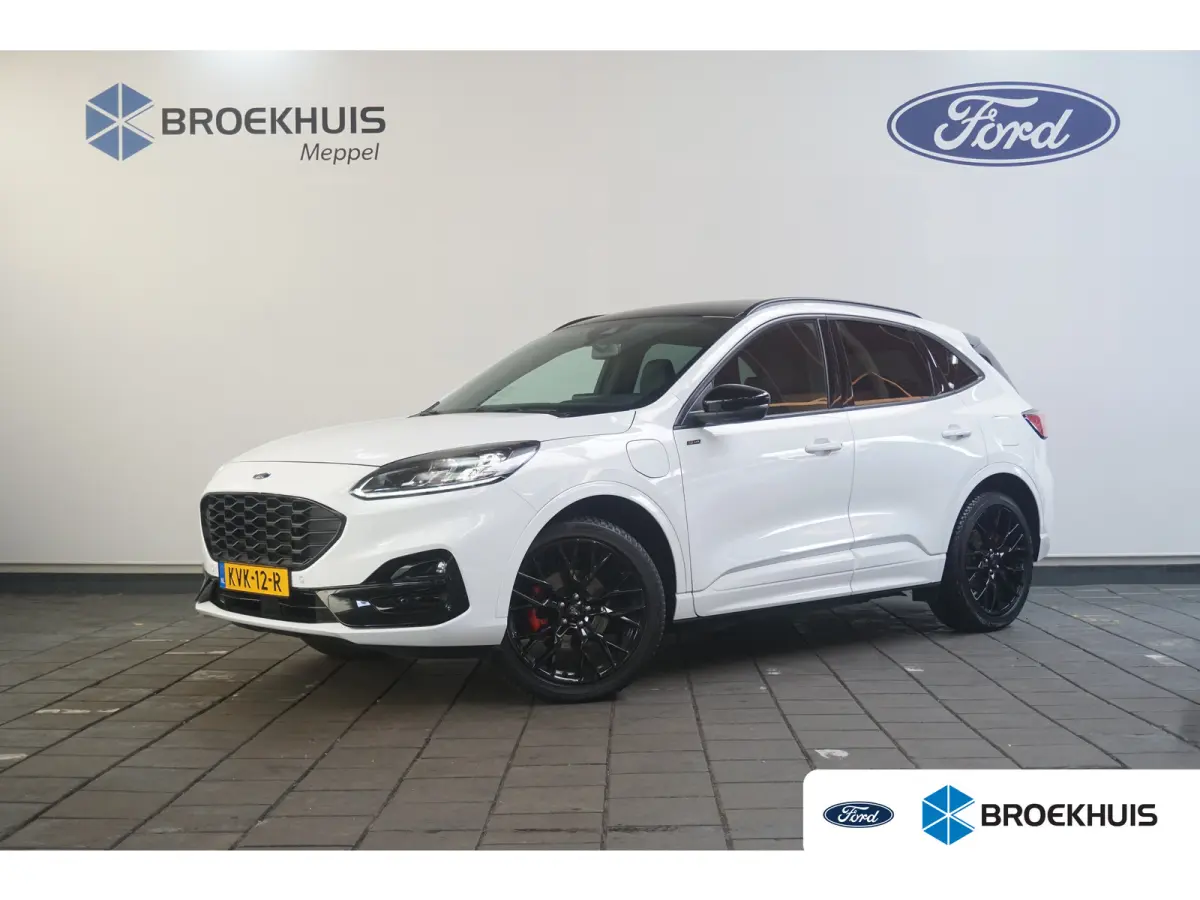 2.5 PHEV ST-Line X | Black Pack | Winter Pakket |