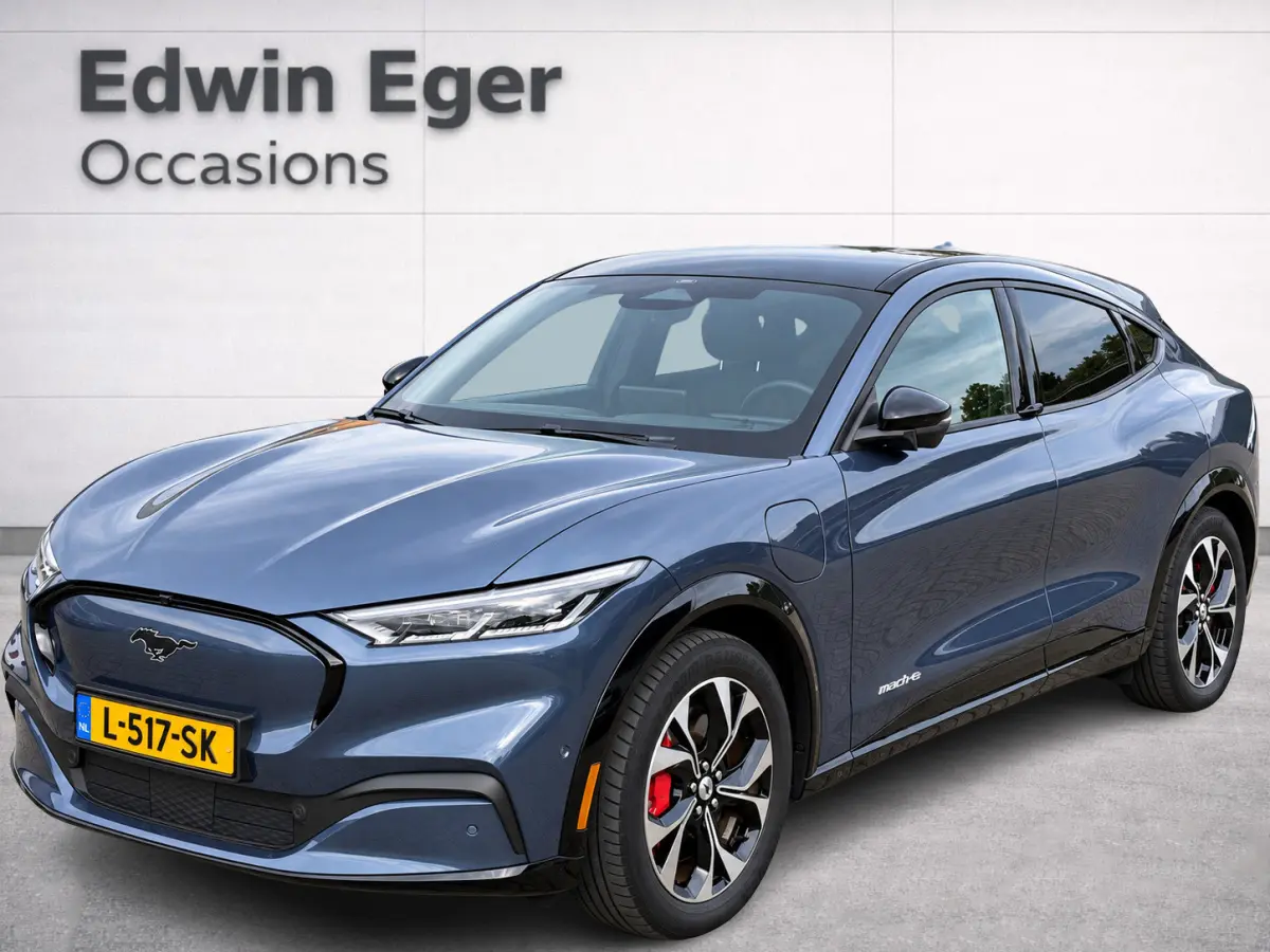 AWD 75 kWh | SOH 95.5 % | Trekhaak afn. | Ad cruise | Navi | Led | NL-auto