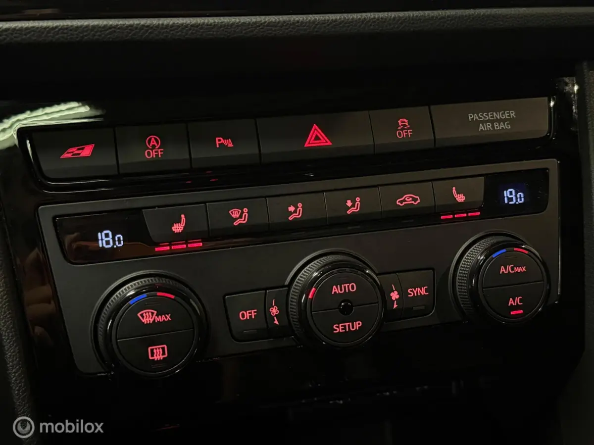 2.0 TSI CUPRA 300 4DRIVE Panorama/Kuipstoelen/Keyless/Virtual/Beats