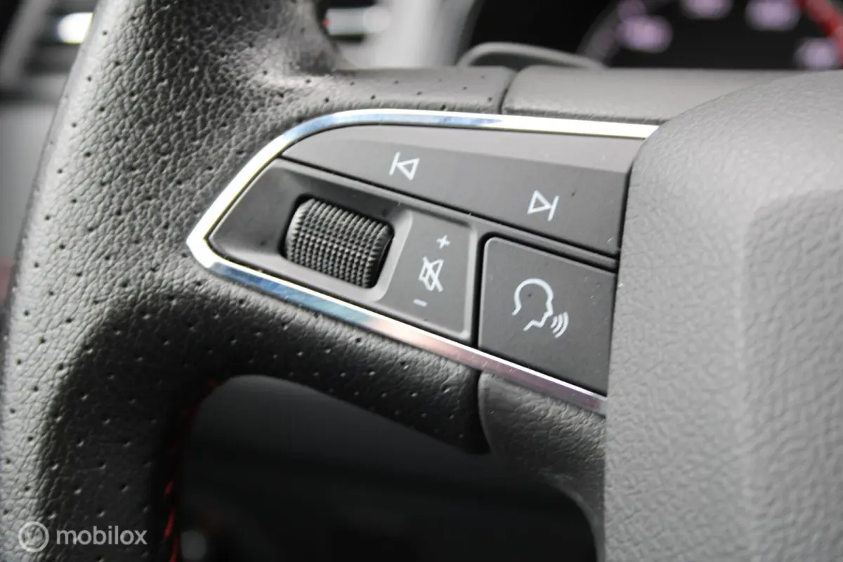 1.0 TSI FR Bus.Int. Plus/Led/Navi/Stoelverw/Cam/