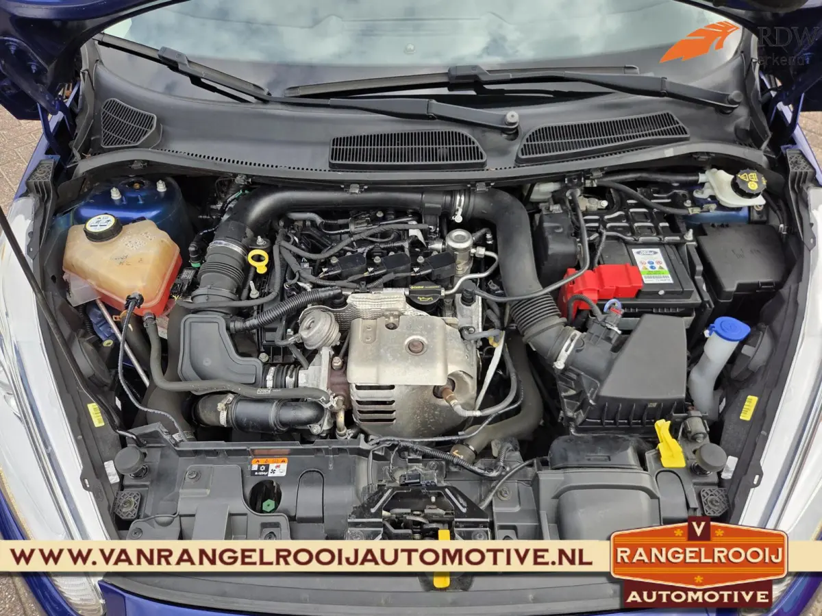1.0 EcoBoost Titanium, clima, cruise, voorruitverw, pdc v+a, 16" lmv