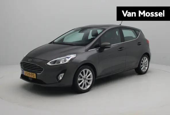 1.0 EcoBoost Titanium | Apple Carplay/Android Auto | Climate Control | Winterpakket | Trekhaak |