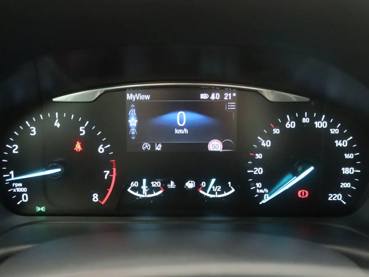 1.0 EcoBoost Titanium | Apple Carplay/Android Auto | Climate Control | Winterpakket | Trekhaak |