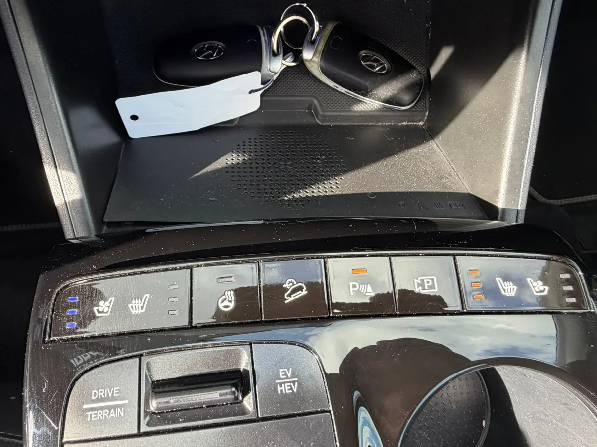 1.6 T-GDI PHEV N Line Sky 4WD SOH 100%PANO/TREKHAAK/NL AUTO