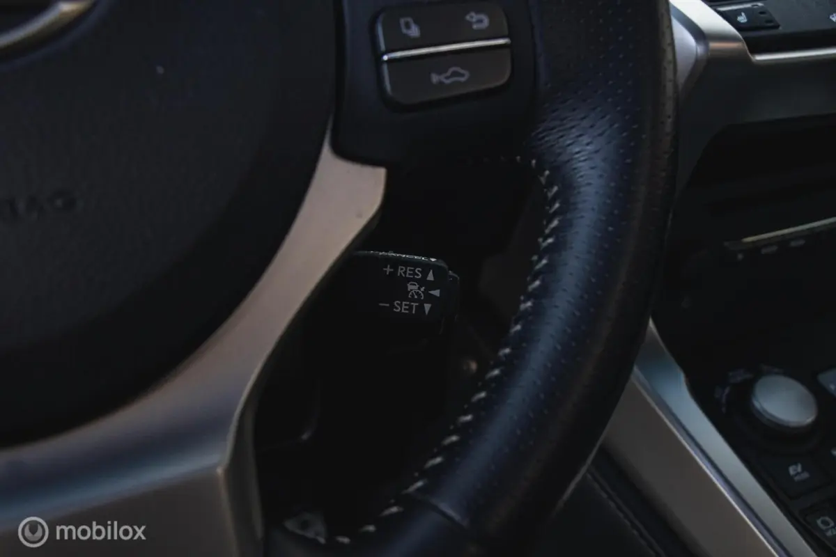 300h AWD F-Sport Edition Parelmoer/Panoramadak