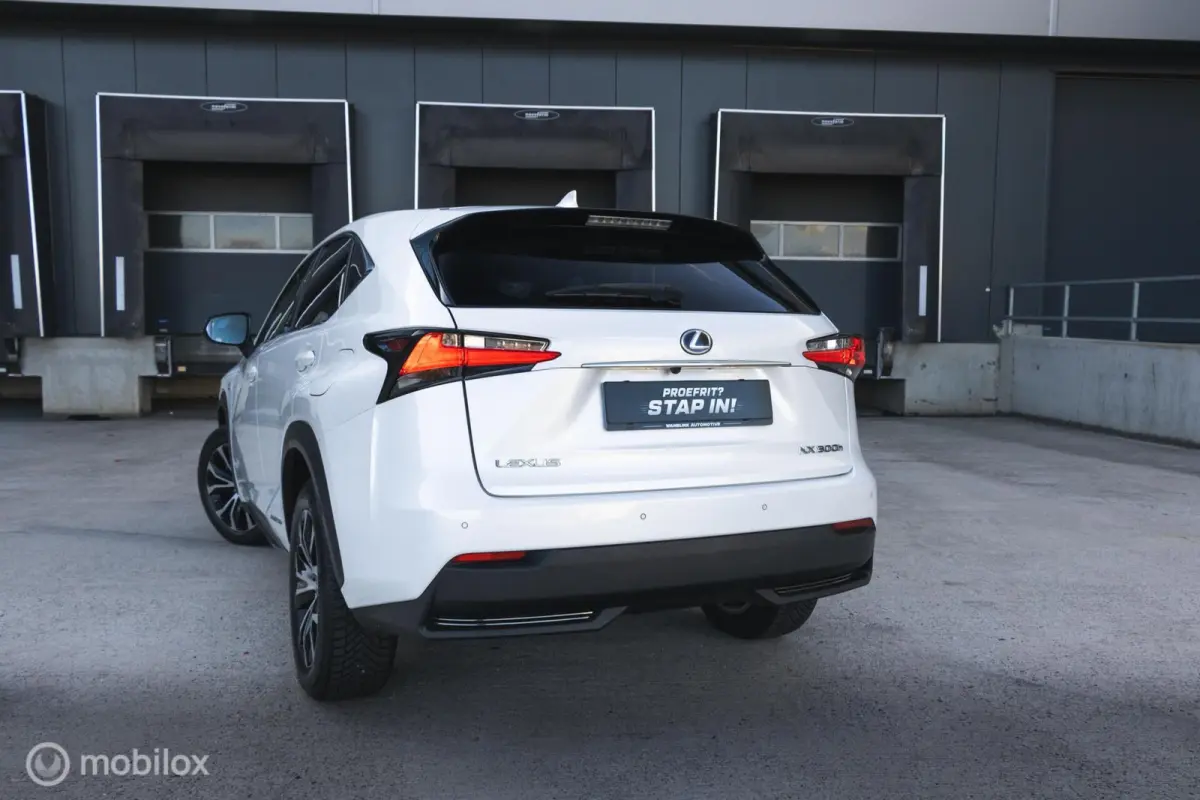 300h AWD F-Sport Edition Parelmoer/Panoramadak