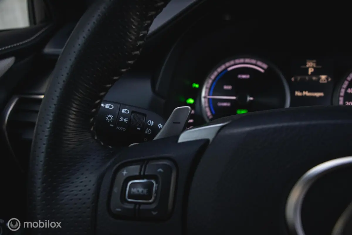 300h AWD F-Sport Edition Parelmoer/Panoramadak