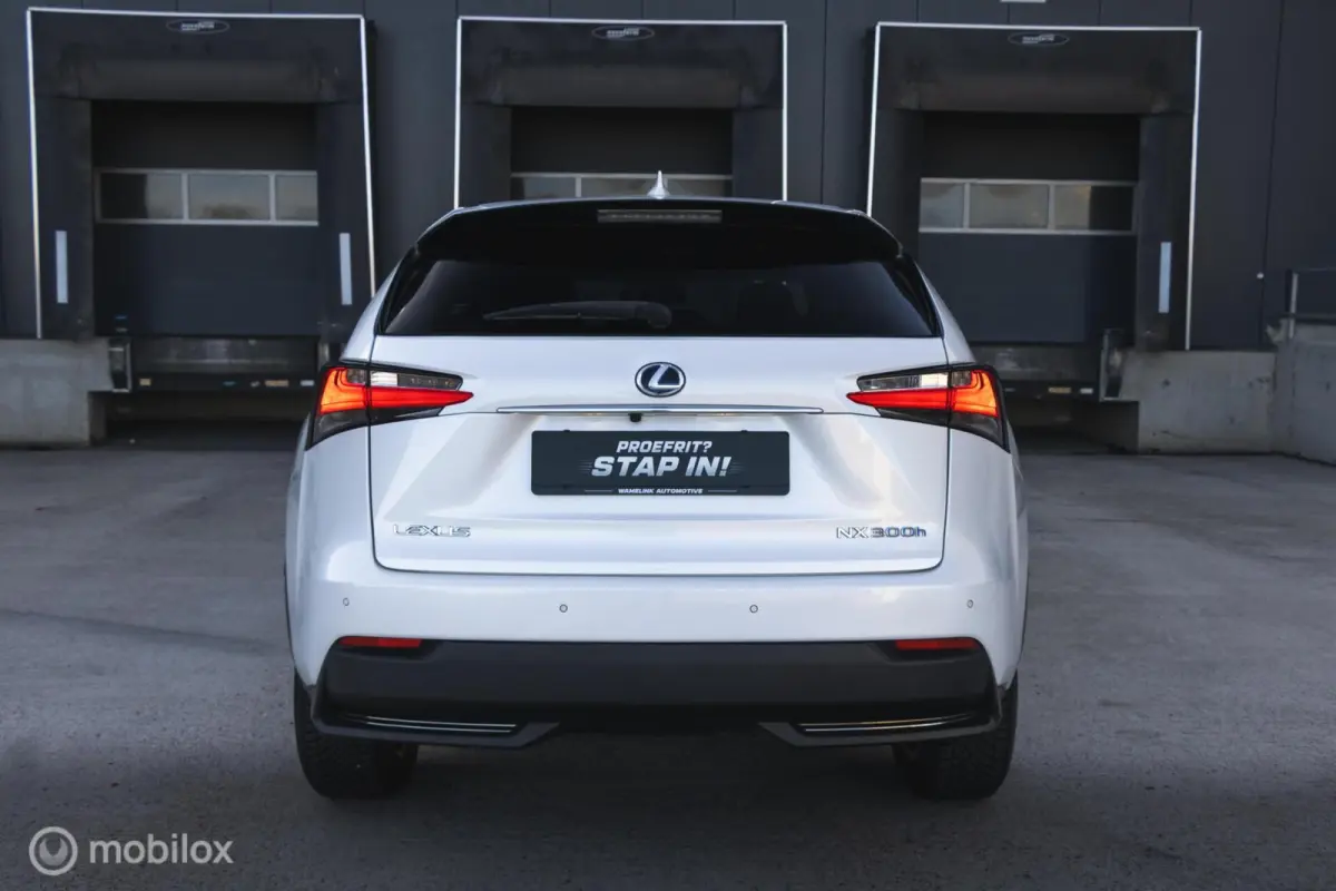 300h AWD F-Sport Edition Parelmoer/Panoramadak
