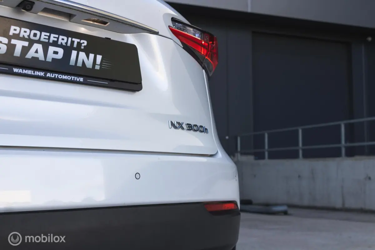300h AWD F-Sport Edition Parelmoer/Panoramadak