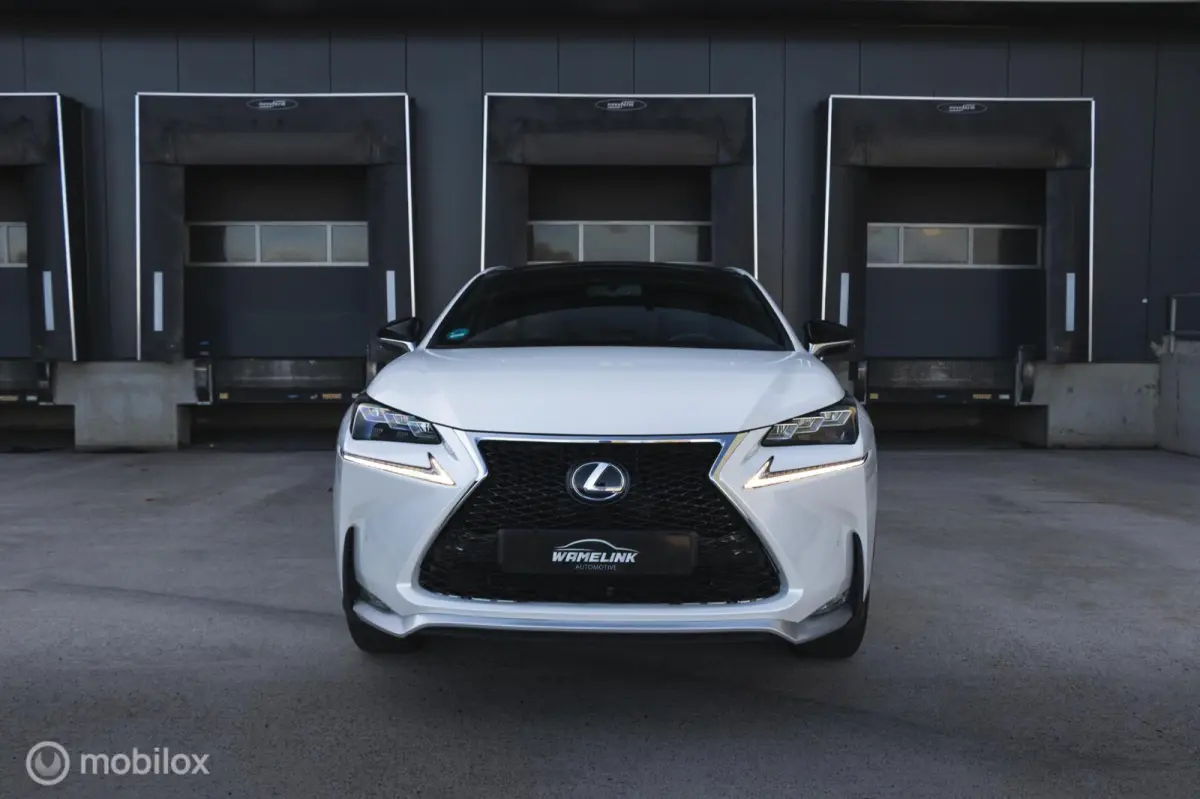 300h AWD F-Sport Edition Parelmoer/Panoramadak