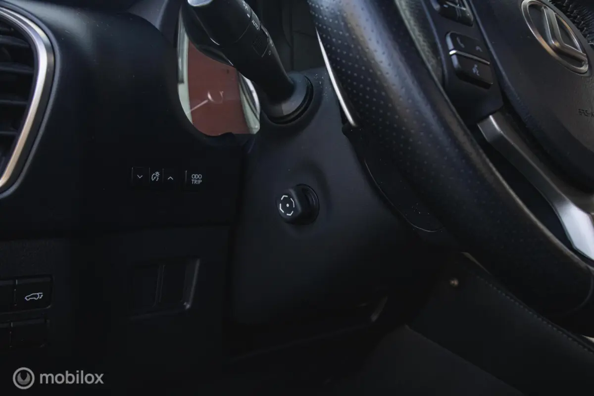 300h AWD F-Sport Edition Parelmoer/Panoramadak
