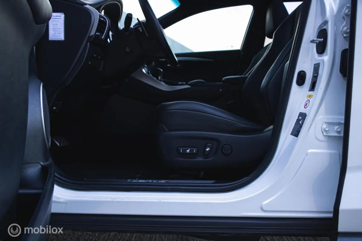 300h AWD F-Sport Edition Parelmoer/Panoramadak