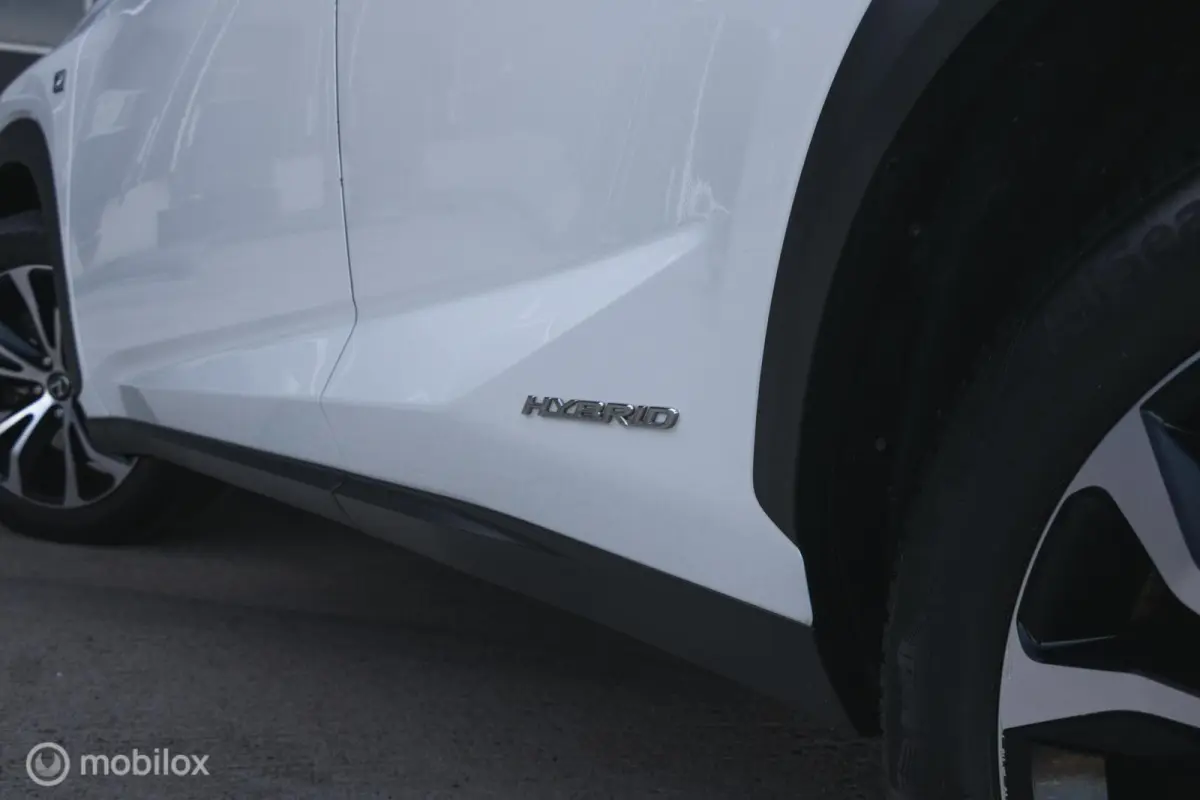 300h AWD F-Sport Edition Parelmoer/Panoramadak