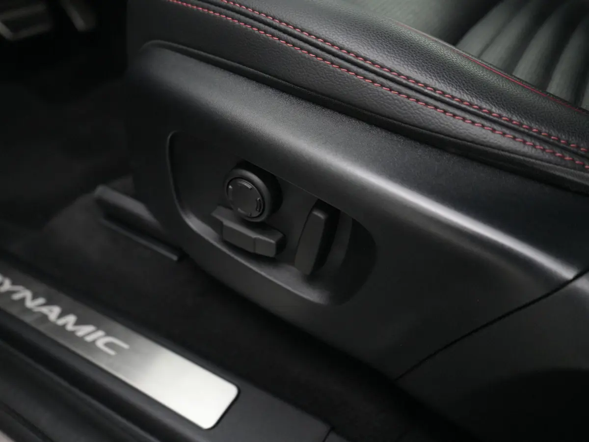 P300e 1.5 R-Dynamic SE | Cold Climate Pack | Meridian™ Surround Sound | Afneembare Trekhaak