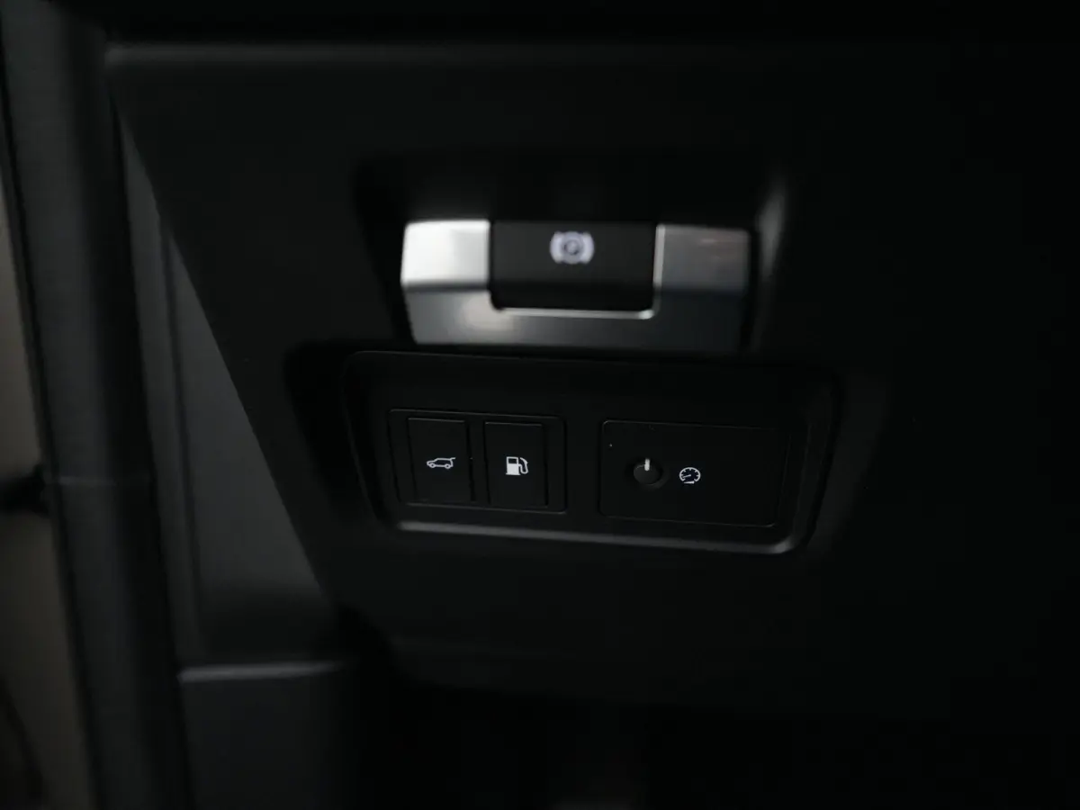 P300e 1.5 R-Dynamic SE | Cold Climate Pack | Meridian™ Surround Sound | Afneembare Trekhaak