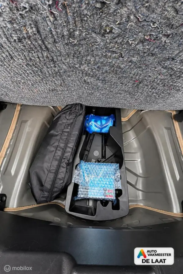 1.0 e-VTi Active Apple carplay + camera