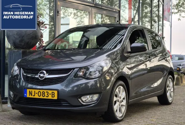1.0 ecoFLEX Innovation | Climate Control | Licht metalen velgen | Cruise Control | Leer