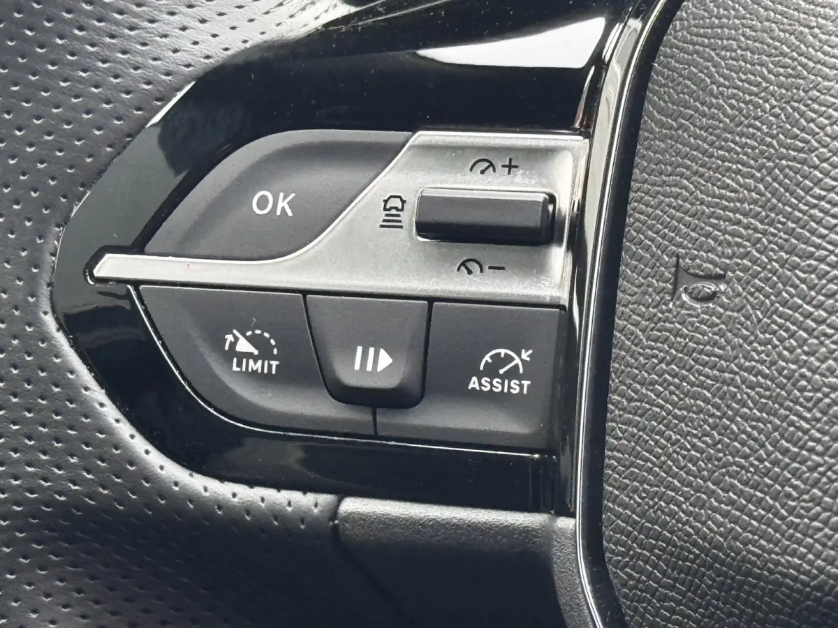 1.6 Plug-in Hybrid 180 GT | 100% SOH | Alcantara + Memory | Winter Pack | Camera | Adaptive Cruise