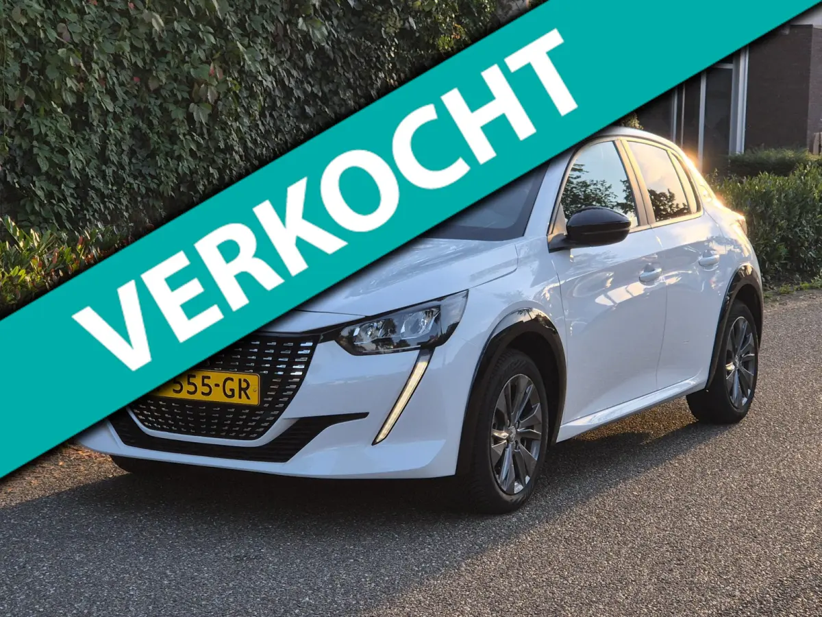 EV Active 1e Eigenaar SoH 95,3 % Pack 50 kWh Led NAP CarPlay Navi