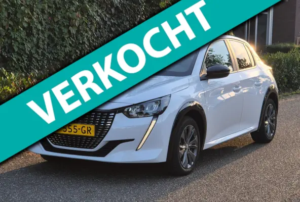 EV Active 1e Eigenaar SoH 95,3 % Pack 50 kWh Led NAP CarPlay Navi
