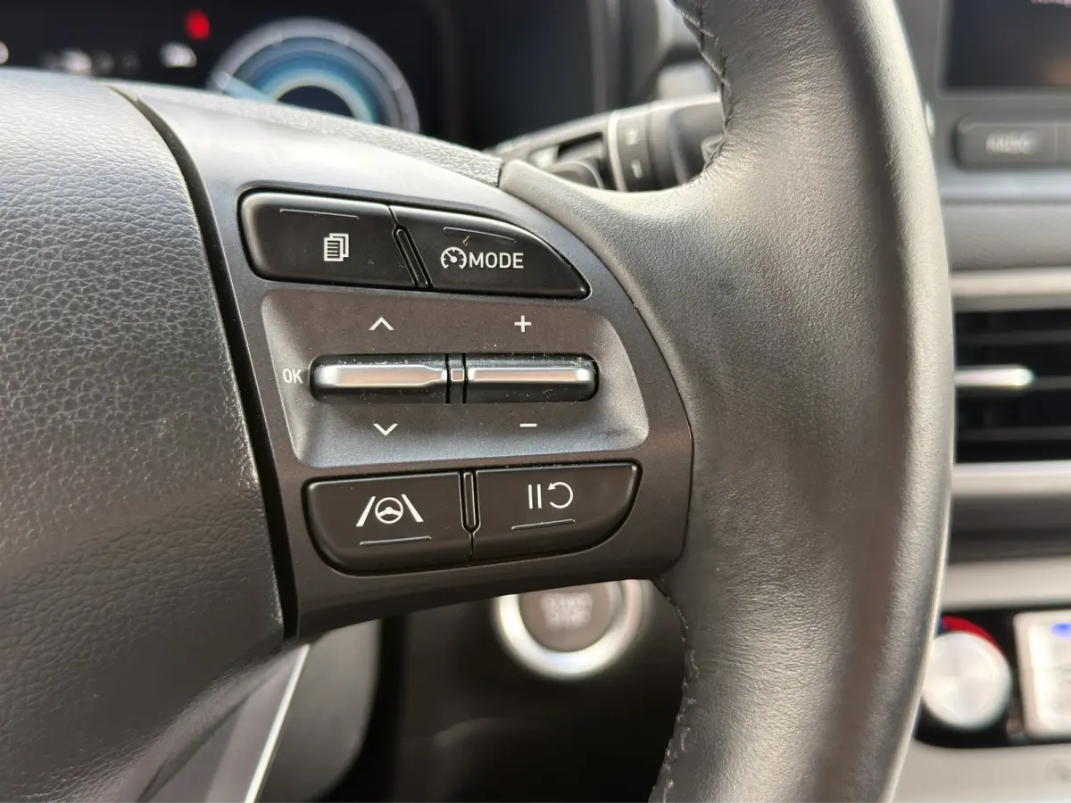 EV Pure 64 kWh | Apple Carplay/Android Auto | Camera | Stoelverwarming | Cruise Control |