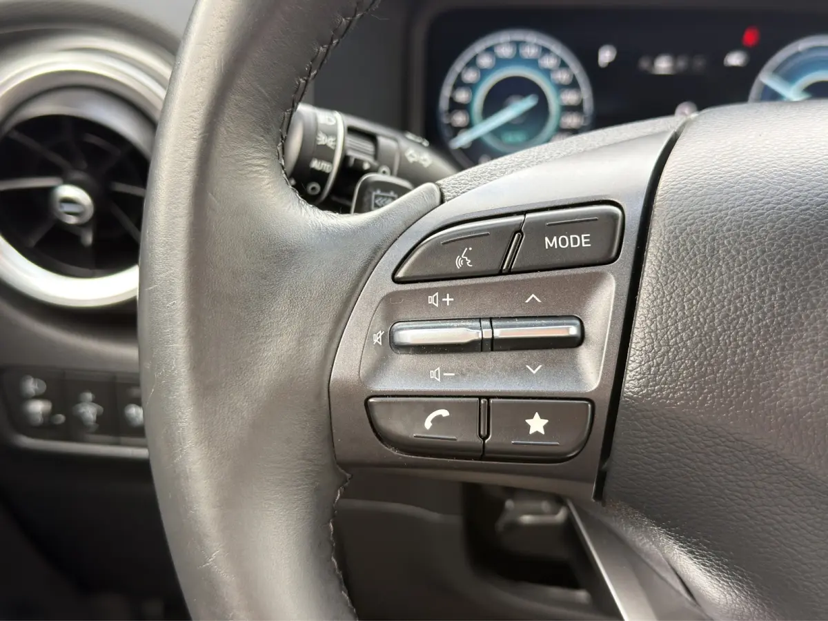 EV Pure 64 kWh | Apple Carplay/Android Auto | Camera | Stoelverwarming | Cruise Control |