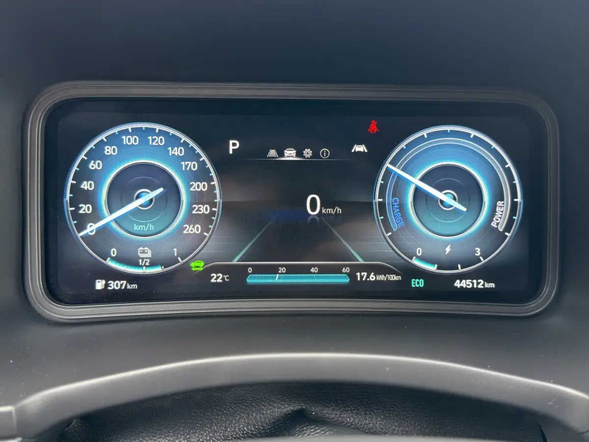 EV Pure 64 kWh | Apple Carplay/Android Auto | Camera | Stoelverwarming | Cruise Control |