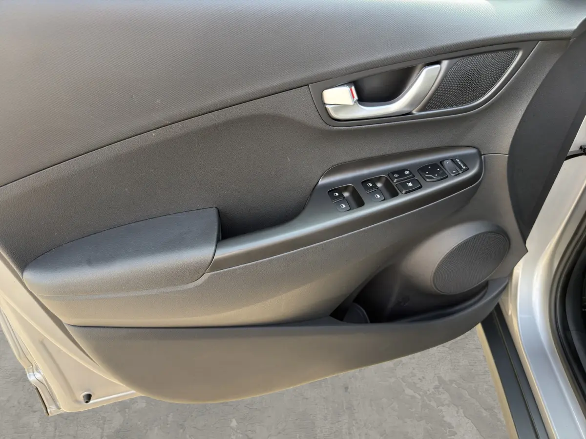 EV Pure 64 kWh | Apple Carplay/Android Auto | Camera | Stoelverwarming | Cruise Control |