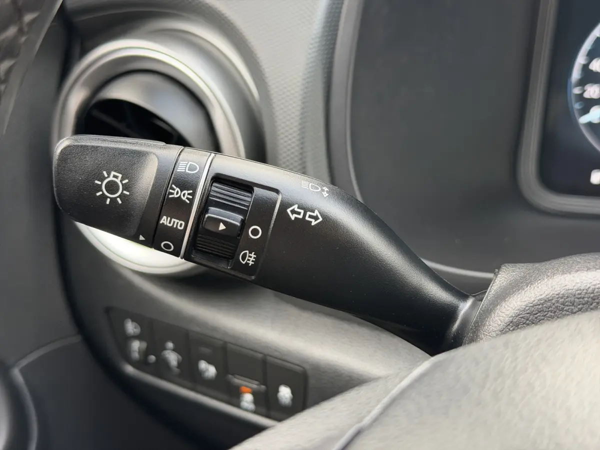 EV Pure 64 kWh | Apple Carplay/Android Auto | Camera | Stoelverwarming | Cruise Control |