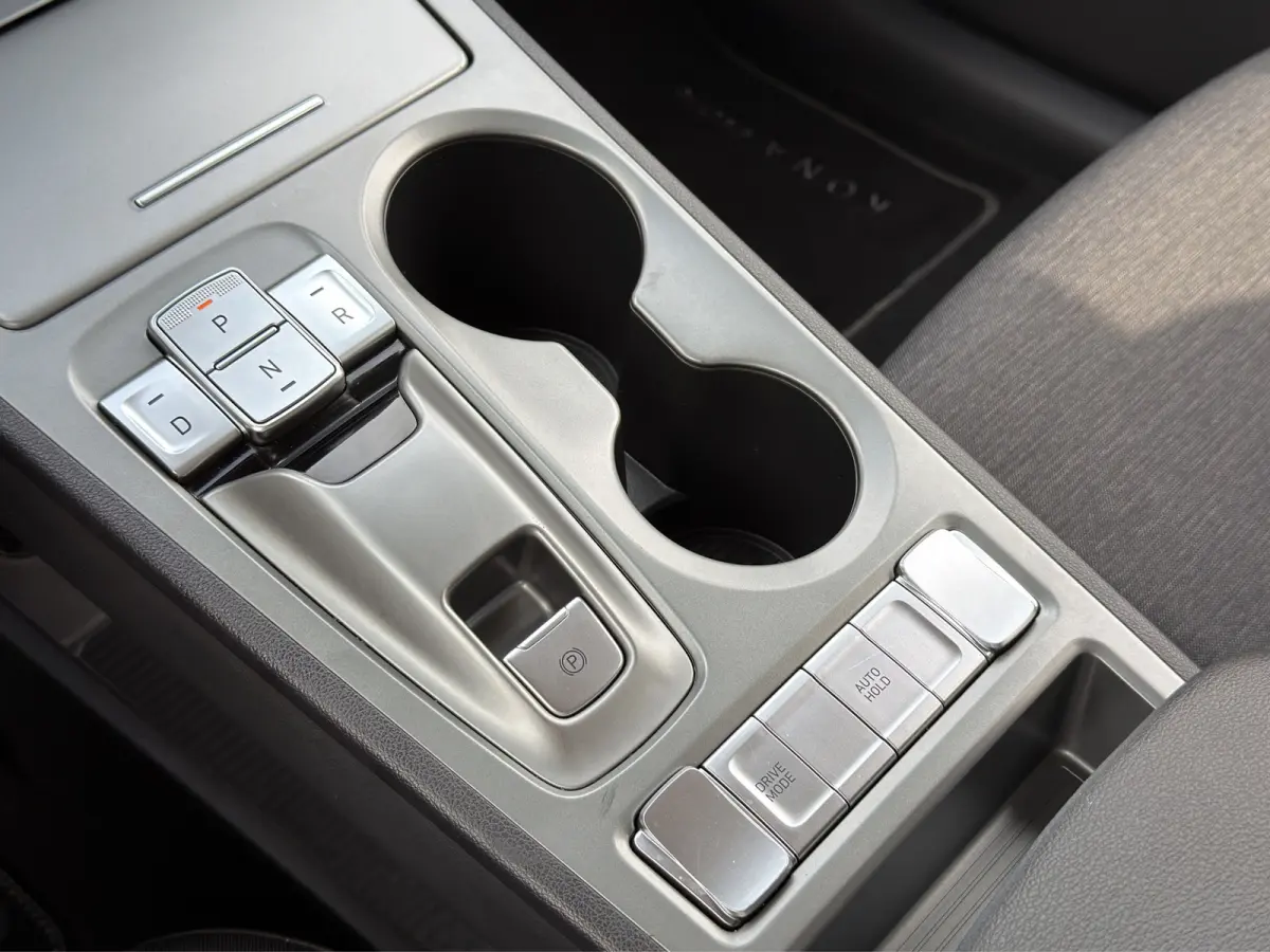 EV Pure 64 kWh | Apple Carplay/Android Auto | Camera | Stoelverwarming | Cruise Control |