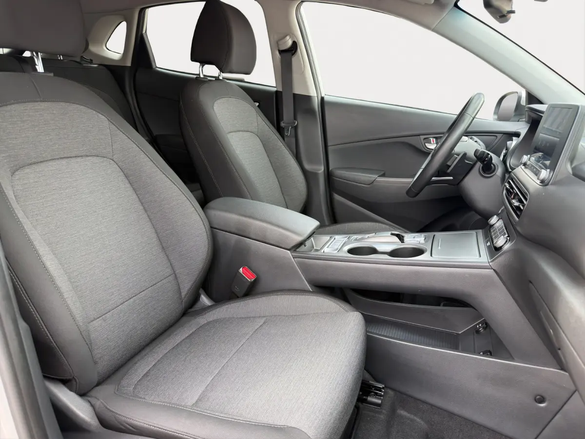 EV Pure 64 kWh | Apple Carplay/Android Auto | Camera | Stoelverwarming | Cruise Control |