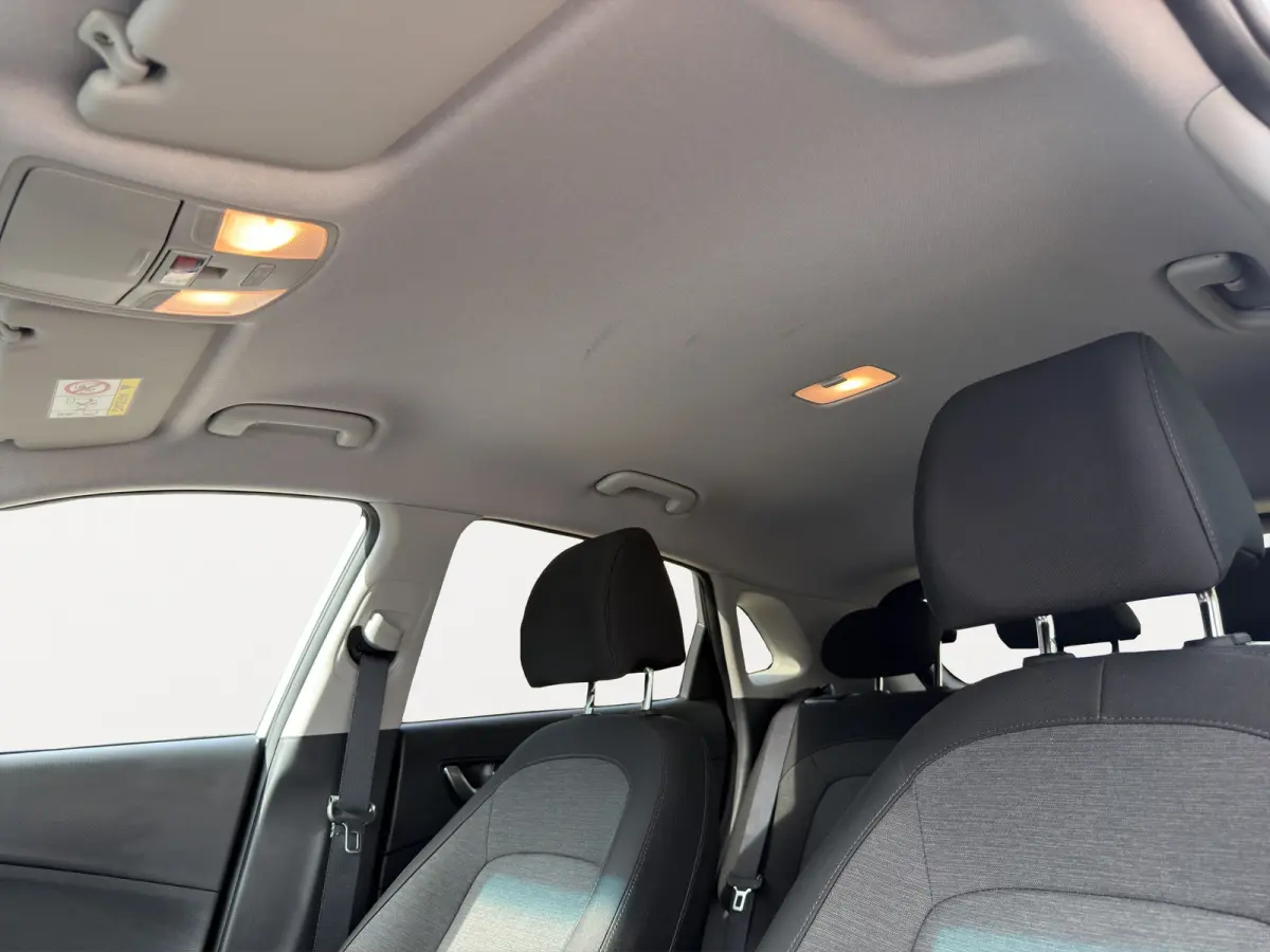 EV Pure 64 kWh | Apple Carplay/Android Auto | Camera | Stoelverwarming | Cruise Control |