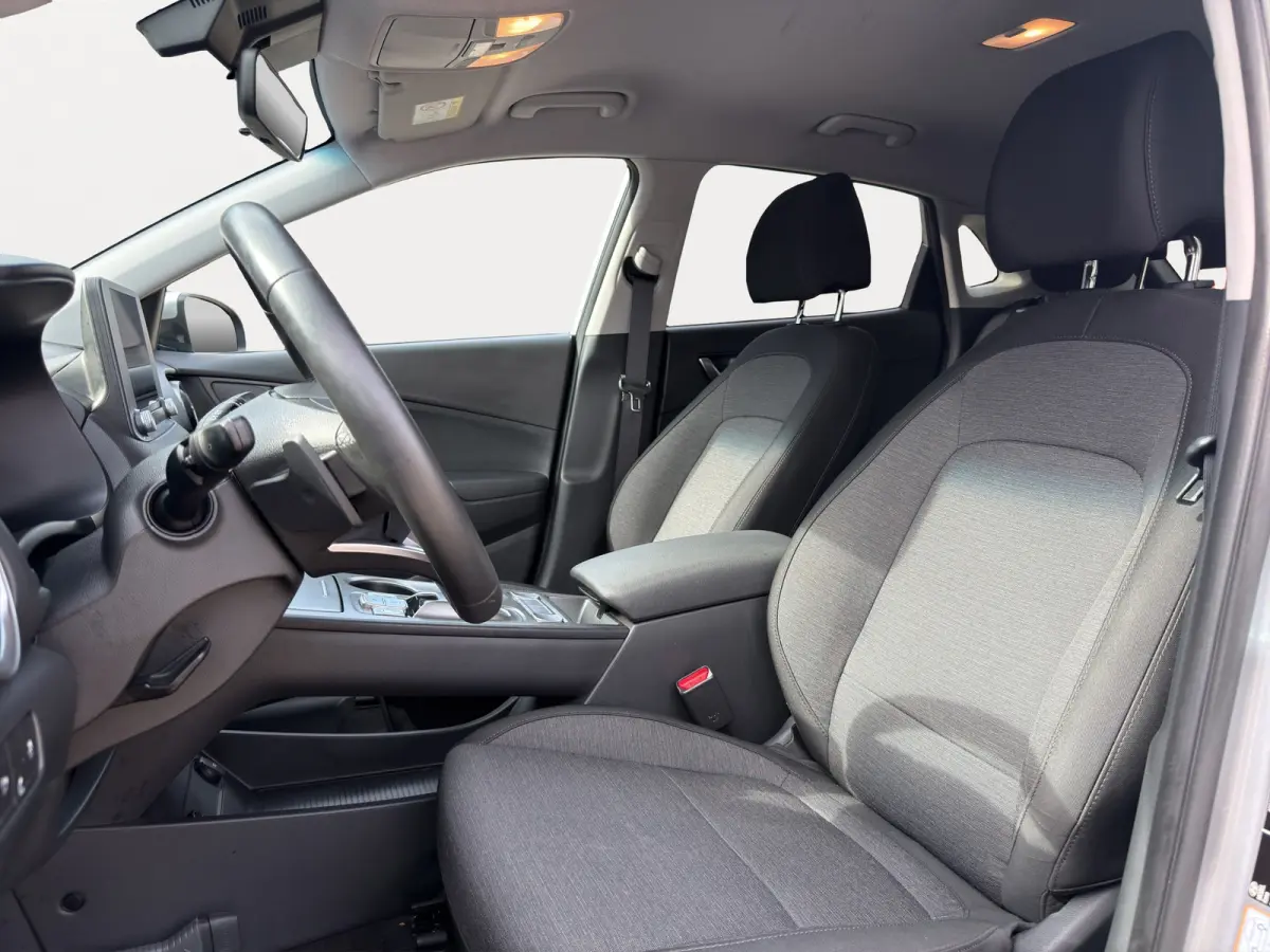 EV Pure 64 kWh | Apple Carplay/Android Auto | Camera | Stoelverwarming | Cruise Control |