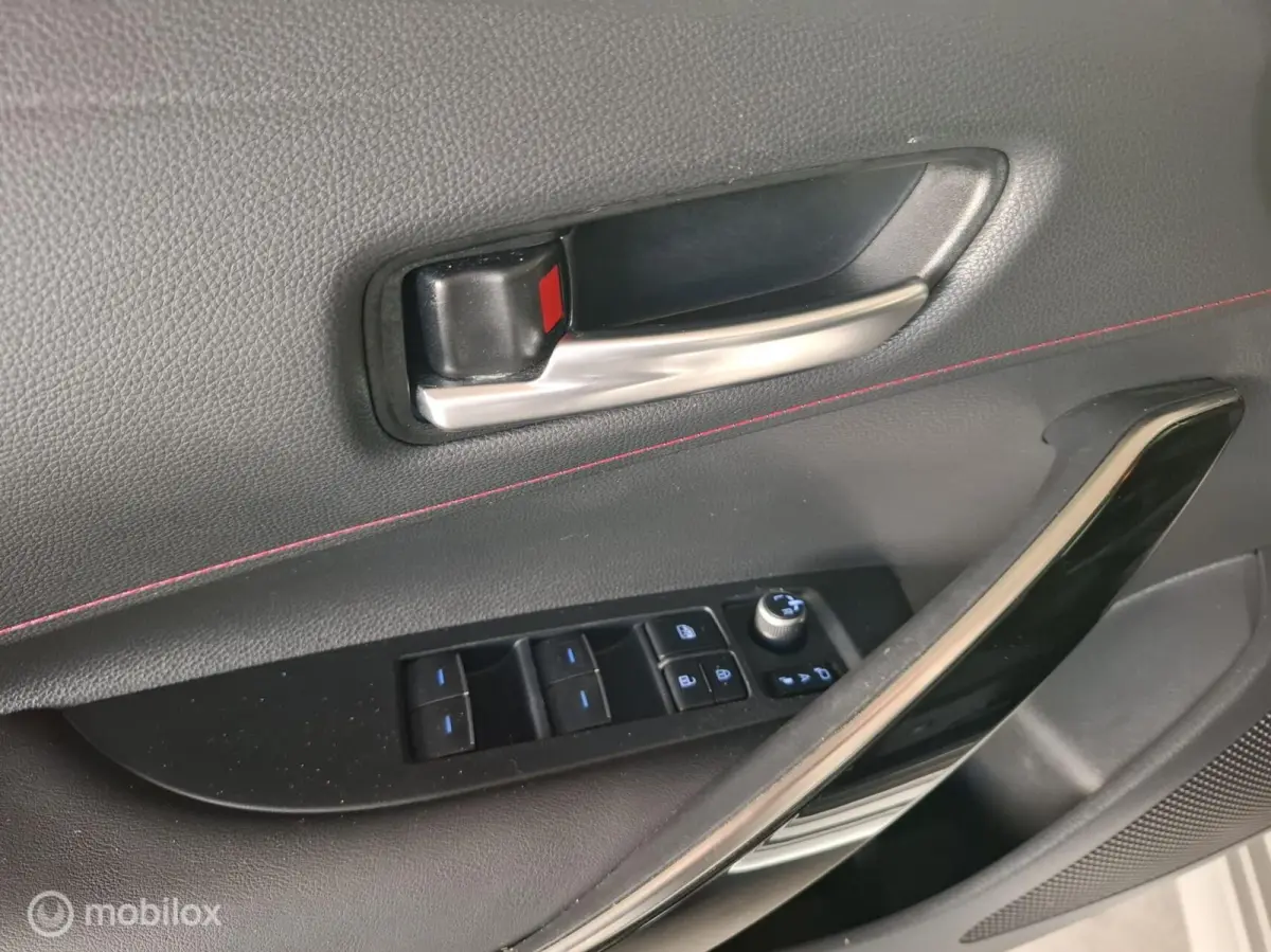 2.0 Hybrid Executive Premium | TREKHAAK - RIJKLAARPRIJS