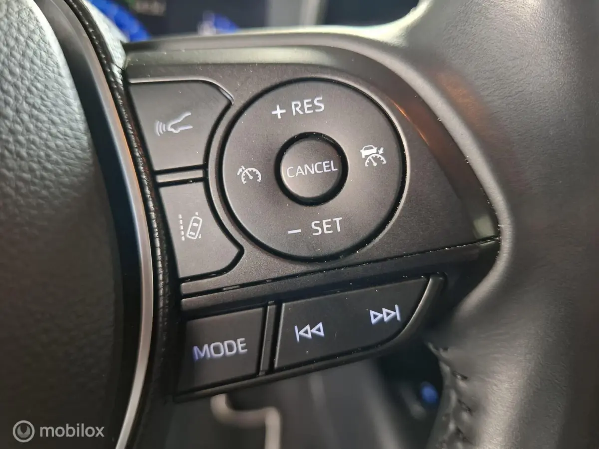 2.0 Hybrid Executive Premium | TREKHAAK - RIJKLAARPRIJS