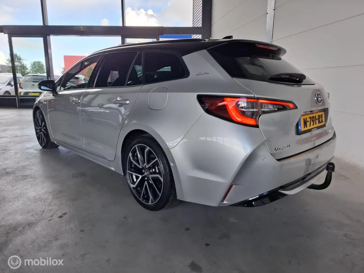 2.0 Hybrid Executive Premium | TREKHAAK - RIJKLAARPRIJS