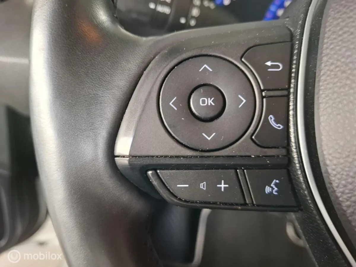 2.0 Hybrid Executive Premium | TREKHAAK - RIJKLAARPRIJS
