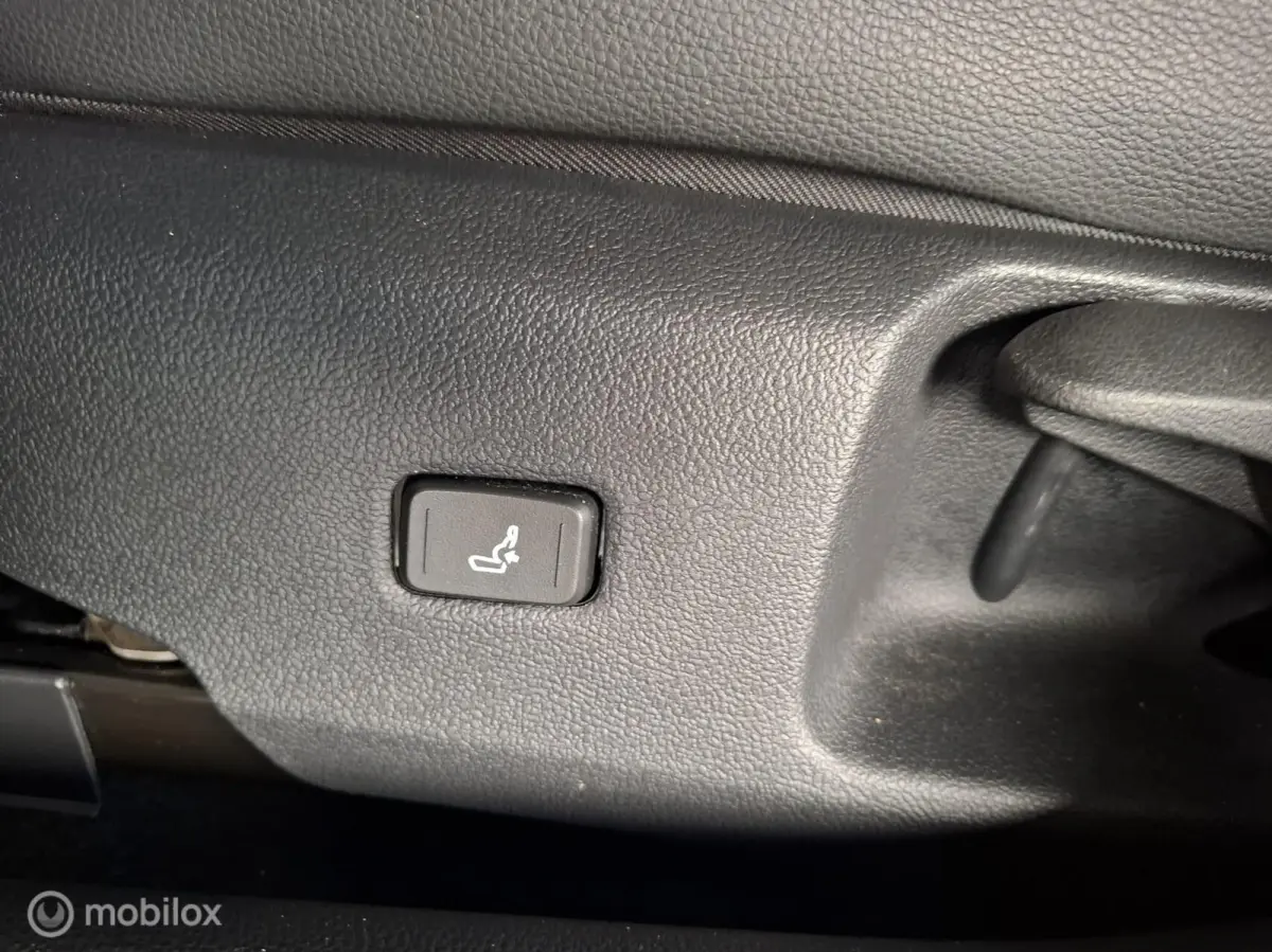 2.0 Hybrid Executive Premium | TREKHAAK - RIJKLAARPRIJS